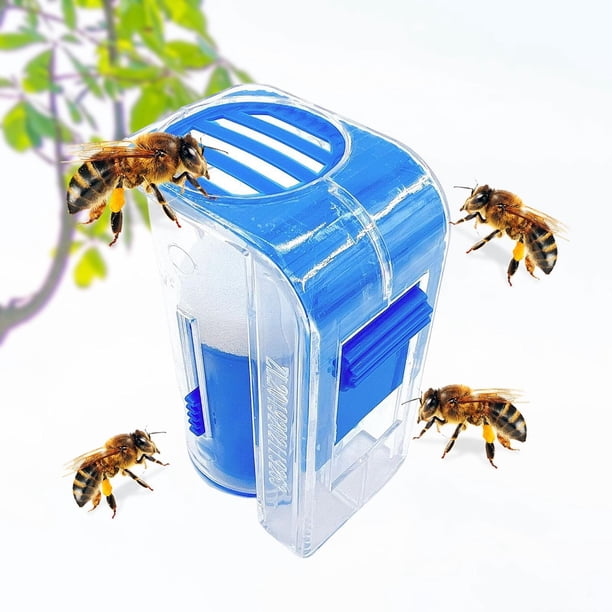 Queen Marking Catcher, equipo de apicultura, duradero, portátil, botellas pequeñas de plástico con para apicultores jardín al aire , Azul shamjiam Colector de abejas