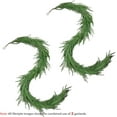 thumbnail image 3 of 9FT Thick Christmas Garland with 240 Cedar Branches, Real Touch Green Cedar Garland for Christmas Decorations, Artificial Greenery Garland for Table, Mantle, Wall, Indoor, Outdoor Holiday Decor, 3 of 18