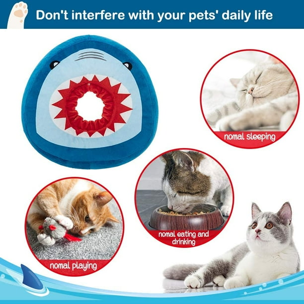Dog cone collar clearance pets at home