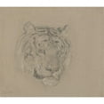 thumbnail image 2 of James Ward 14x12 Black Ornate Wood Framed Double Matted Museum Art Print Titled: Head of a Tiger, 2 of 5