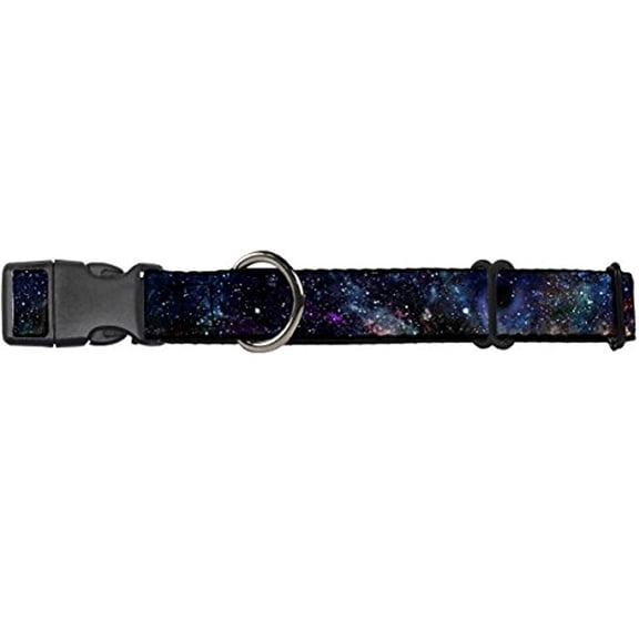 Buckle-Down Galaxy Collage Martingale Dog Collar
