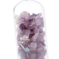thumbnail image 3 of 1 Pieza de Display Flower Flor para Casamiento Cubierta Decorados para Fiestas Favores Púrpura Macarena flor conservada, 3 of 8