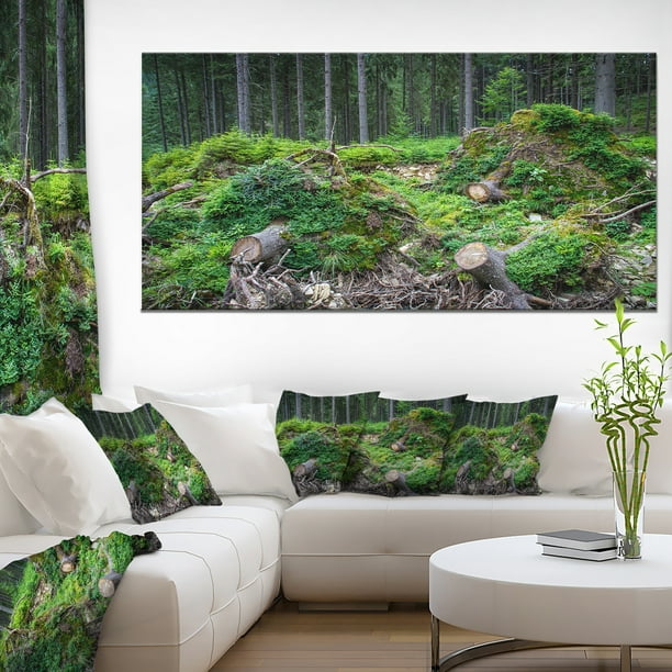 Roches et Collines de Forêt Profonde Sauvage - Toile de Paysage Art Imprimer