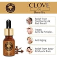 thumbnail image 3 of Old Tree Pure and Natural Clove Bud Essential Oil (15ml), 3 of 4