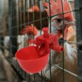 thumbnail image 1 of IDEANATEGRATE 30Ud Bebedero Automático De Plástico Para Gallinas Y En Granjas, 1 of 6