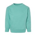 thumbnail image 3 of COUVER Unisex Toddler Warm Fleece Crewneck Long Sleeve Sweatshirt, Saltwater, 4T, 1 Piece, 3 of 6