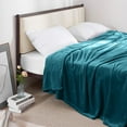 thumbnail image 3 of Homieway Large Azure Bed Blankets,Soft Queen Size Blanket for Sofa Couch, All Season Lightweight Microfiber Fluffy Flannel Fleece Throw Blanket,90" x 90", 3 of 7