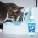 thumbnail image 5 of Clean Premium Cat & Dog Teeth Care And Dog Breath Freshener - No Brush Tartar & Plaque Remover For Dogs Teeth 250ml, 5 of 5