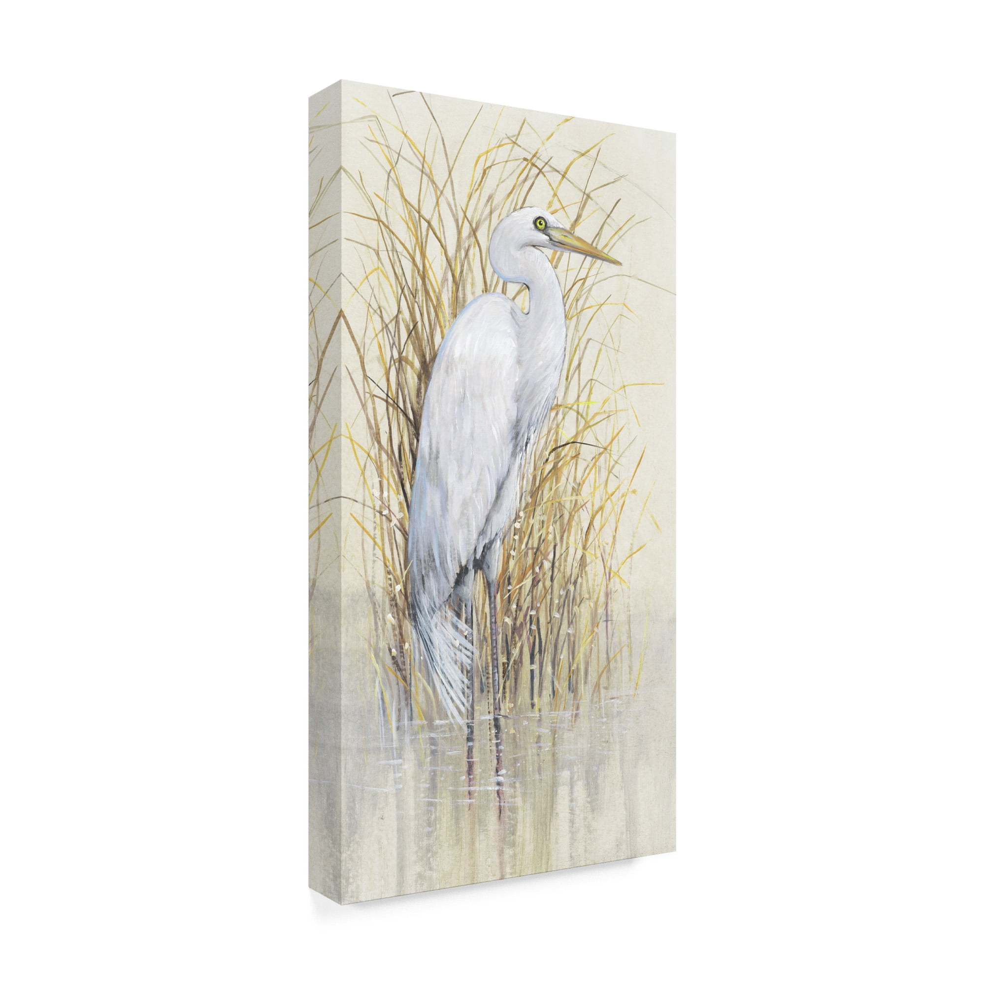 Trademark Fine Art 'Wading I' Canvas Art by Tim O'Toole