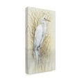thumbnail image 2 of Trademark Fine Art 'Wading I' Canvas Art by Tim O'Toole, 2 of 3