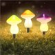 thumbnail image 4 of Matsuzay Luces solares de estaca de setas LED Luz de césped al aire libre Lámpara de enchufe de tierra decorativa Luces solares para patio de jardín Iluminación y accesorios No.1 Matsuzay HA024367-01, 4 of 6