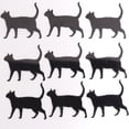 thumbnail image 3 of Confetti Cat Black - Pouch (1/2 oz) - CCP9411, 3 of 8