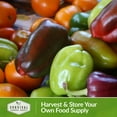 thumbnail image 6 of 5 packs Chocolate Beauty Pepper - Non-GMO Heirloom Full Sun Annual Vegetable, 6 of 6