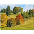 thumbnail image 1 of Trees Forest Ceramic Tile Mural Kitchen Backsplash Bathroom Shower 401681-M43, 1 of 3
