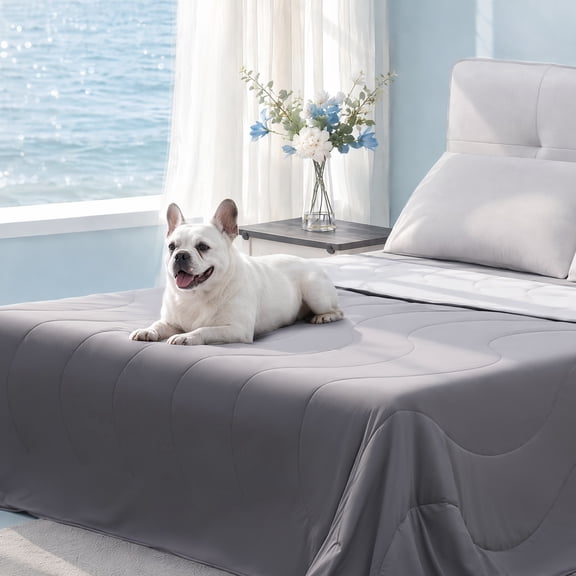 BDEUS Queen Comforter Set 3 Pieces,Comforter Set,Bed in a Bag, Bedding Set with Comforter,2 Pillowcase, All Season