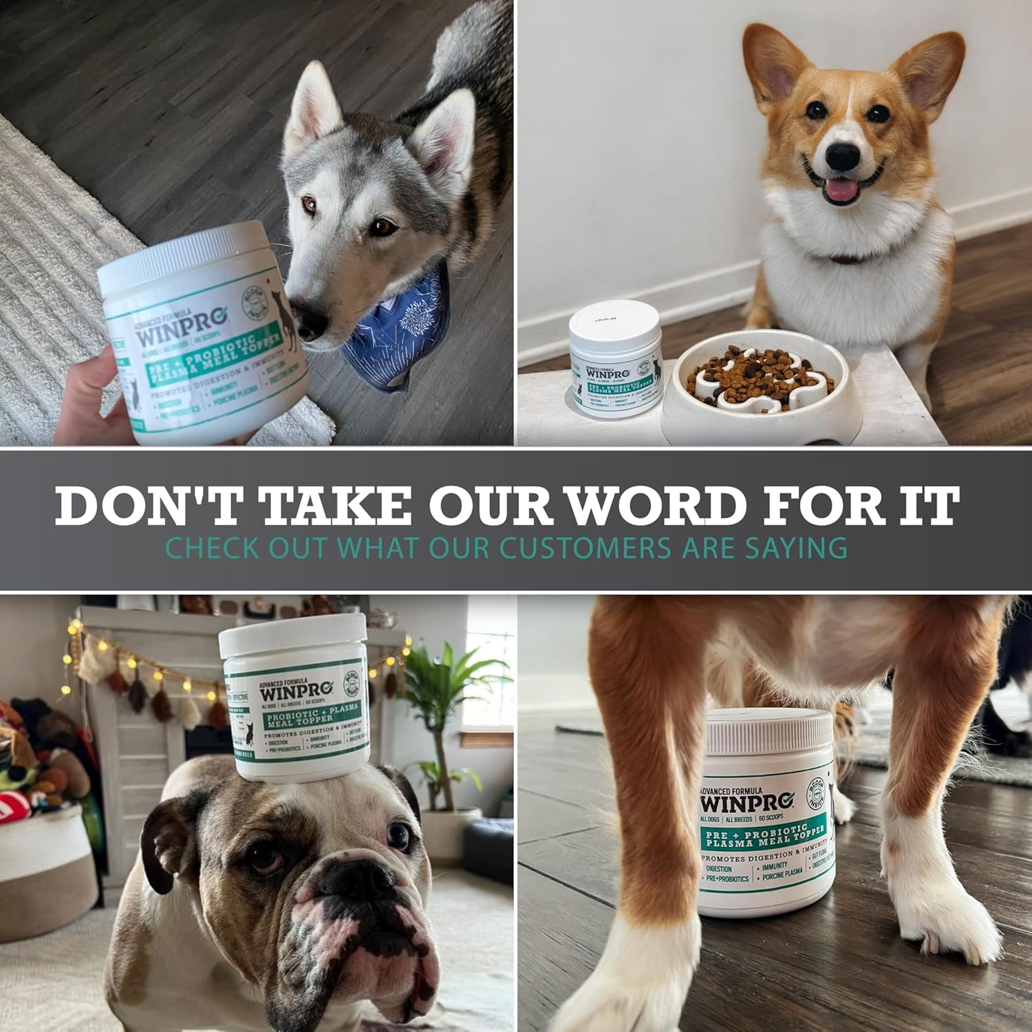 WINPRO Dog Prebiotic + Probiotic Powder Meal Topper, Support for Dog Gut Health, Immunity, and Seasonal Allergies, All Breeds, Ages, and Sizes, Made In The USA, 60 Scoops