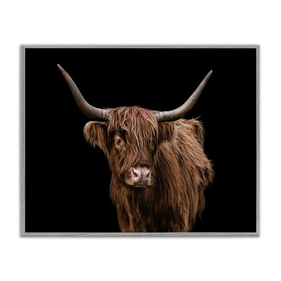 Stupell Industries Farmhouse Cattle Portrait over Black Gray Framed Giclee Art, 14 x 11, by Marika Moffit