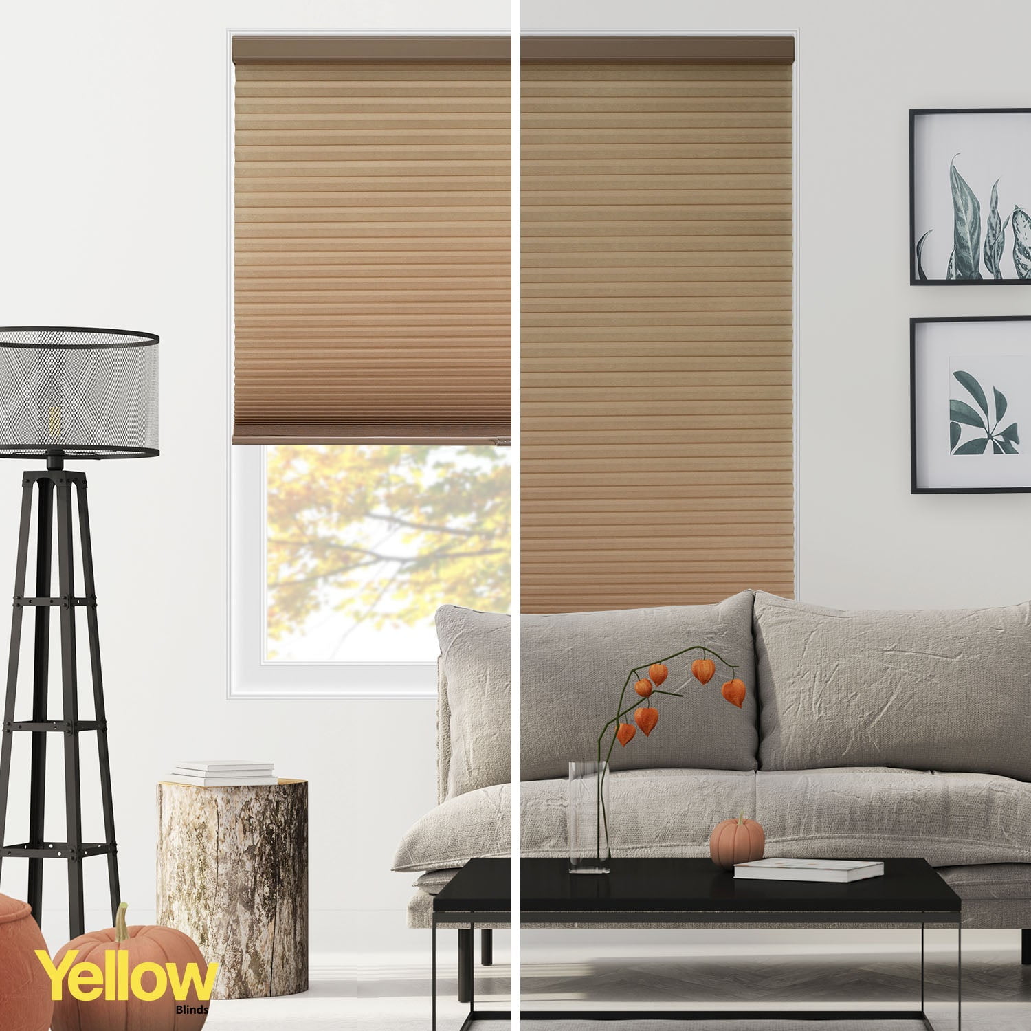 Yellow Blinds Cordless Light Filtering Honeycomb Cellular Shade Skyline Cream - 63.25"W X 48"H
