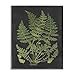 thumbnail image 3 of Stupell Industries Dessin Botanique Toile Design Vert Noir, 3 of 4