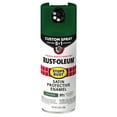 Canyon Green, RustOleum Stops Rust Custom Spray 5 in 1 Satin Spray