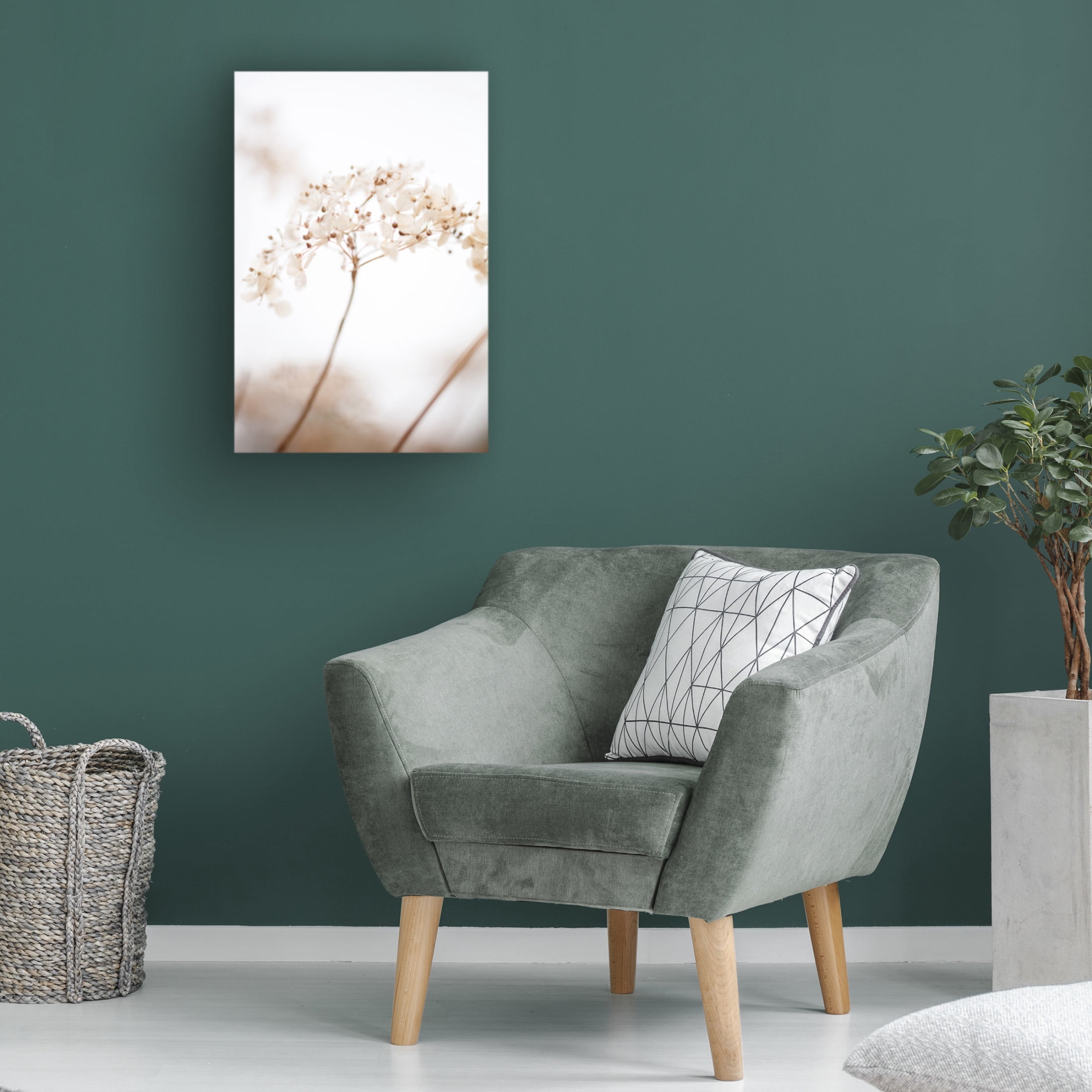 Trademark Fine Art Pictufy Studio Soft Dried Flower Brown Canvas Wall Art