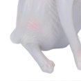 thumbnail image 4 of Sphynx Cat Display Model High Simulation Lifelike Animal Figurine Toy for Collection Decoration PL127‑1563, 4 of 4
