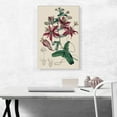 thumbnail image 2 of ARTCANVAS Passion Flowers 1815 Canvas Art Print by Sydenham Edwards - Size: 26" x 18" (0.75" Deep), 2 of 9