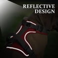 thumbnail image 4 of Beirui Reflective No Pull Dog Harness Soft Padded Adjustable Training Vest With Handle & 2 Leash Clips, 4 of 8