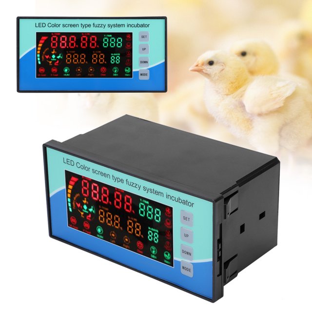 Incubadora controlada por microcomputadora, incubadora con regulador de termostato, incubadora automática con regulador de termostato de huevos, elegante y moderna