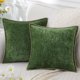 thumbnail image 1 of Juego de 2 fundas de almohada de terciopelo de 18 x 18, fundas de almohada cuadradas decorativas con borde cosido para sofá cama, 1 of 5