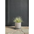 thumbnail image 4 of Veradek Mason Series Kona 15'' Plastic-Stone Planter Tray - Gray, 4 of 7
