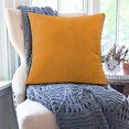 thumbnail image 2 of Throw Pillow Covers Velvet Throw Pillow Covers 18x18 Plush And Stylish Lumbar pillows Decorative Couch Cushion Covers For Living Room, Bedroom Spring Home Decor -Solid Color, 2 of 7