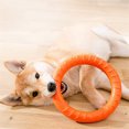 thumbnail image 4 of Methold Anillo de entrenamiento para morder, animales de interior para exteriores, juguetes voladores de EVA, mordedor, mascotas grandes y pequeñas, Suministros para perros Naranja Methold PT003590-01, 4 of 6