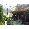 thumbnail image 2 of RIGA 4s Greenhouse - 108 sq.ft., 2 of 3