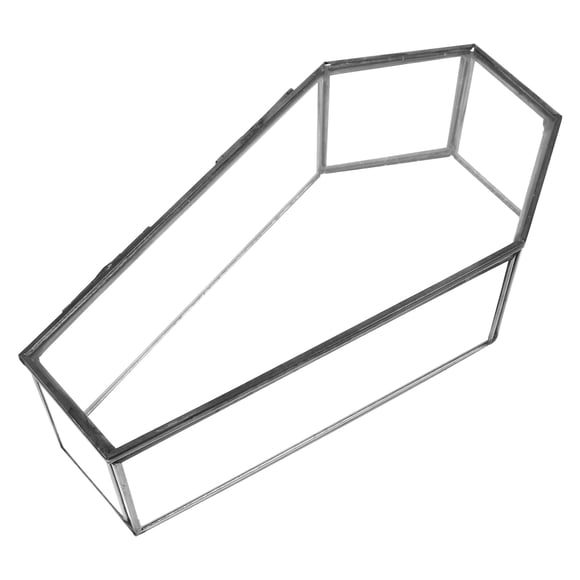 Joyero de cristal vintage con forma de ataúd, joyero gótico decorativo con tapa abatible para Halloween y bandeja de dulces, ideal para exhibir en casa