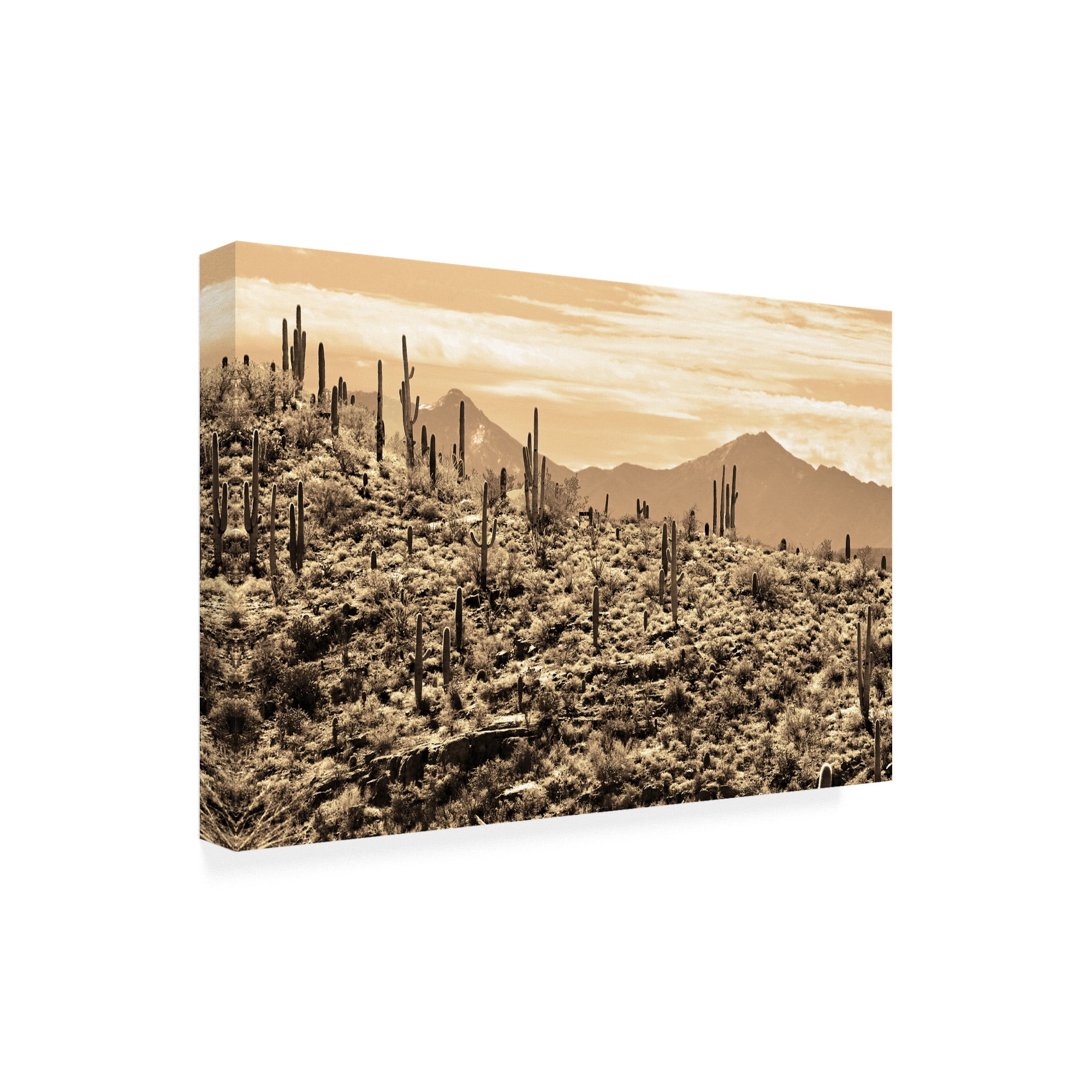 Trademark Fine Art 'Arizona Mountains' Canvas Art by Mitch Catanzaro