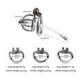thumbnail image 2 of 1pc Imprison Penile Restraint Lock with Detachable Urethral Tube for BDSM Men - Enhance Sexual Pleasure with Urethral Massage, 2 of 4