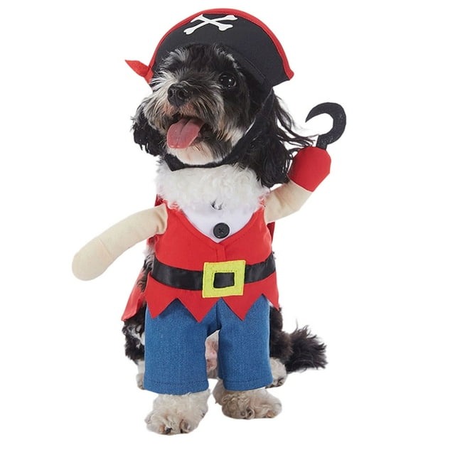 Chat Festif avec Capuche pour Fête Amusante et Accessoire Photo Saisonnier