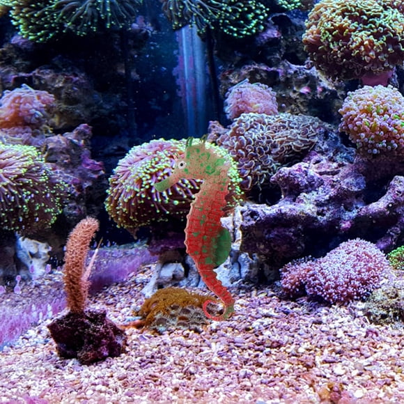 QUMIIRITY 2Ud Para Paisaje De Pecera Material Y Detallado