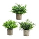 thumbnail image 3 of Plantas artificiales en maceta Strade Fareast Limited 3 piezas, 3 of 8