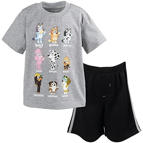 Conjunto de camiseta Bluey Bingo y pantalones cortos de malla para niños 2T