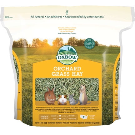 Oxbow Pet Products Orchard Grass Hay Dry Small Animal Food, 50 (Best Grass For Guinea Pigs)