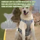 thumbnail image 5 of Pecheras Tactico Arnés Para Perro Con 4velcro Grande Mediano, 5 of 8
