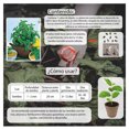 thumbnail image 3 of Semillas Menta Vita, 3 of 5