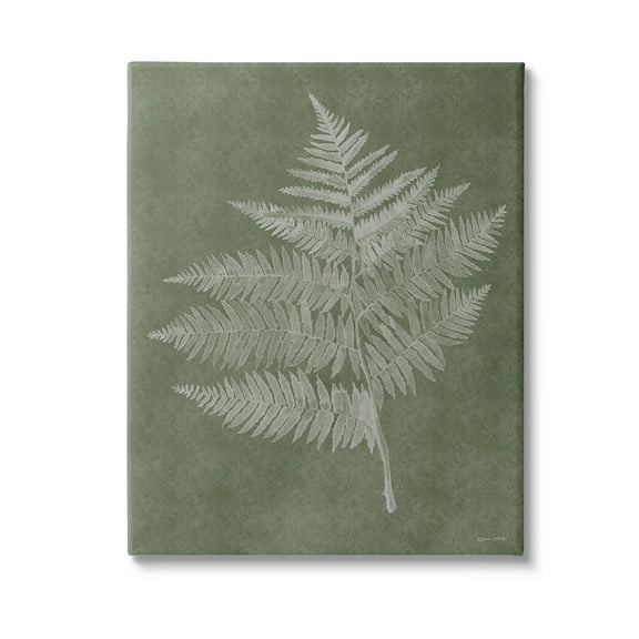 Stupell Industries Asymmetrical Fern Plant Botanical & Floral Painting Gallery Wrapped Canvas Art Print Wall Art, 16 x 20