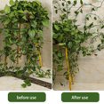 thumbnail image 4 of pitrice Plastic Plant Clips Fixed Buckles Self Adhesive Vine Tied Fastener M, 4 of 8