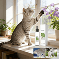 thumbnail image 7 of RAGUPEL 2026 New Cat Spray, Catnip Spray for Indoor Cats, Cat Anxiety Relief, Anti Scratch Cat Spray, Cat Calming Spray for Calming, Stress Relief, Behavior Control, Indoor Cats, Pet Care, 7 of 7