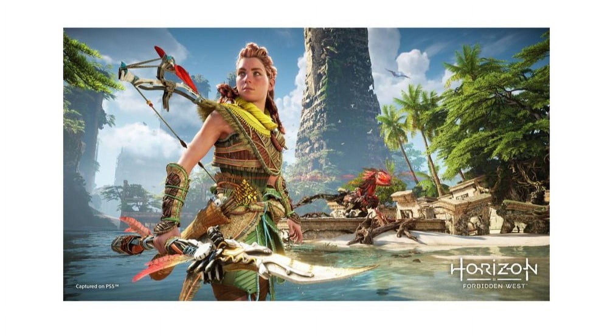 Horizon Forbidden West PS4版 image_1a56e173-b765-413a-9443-