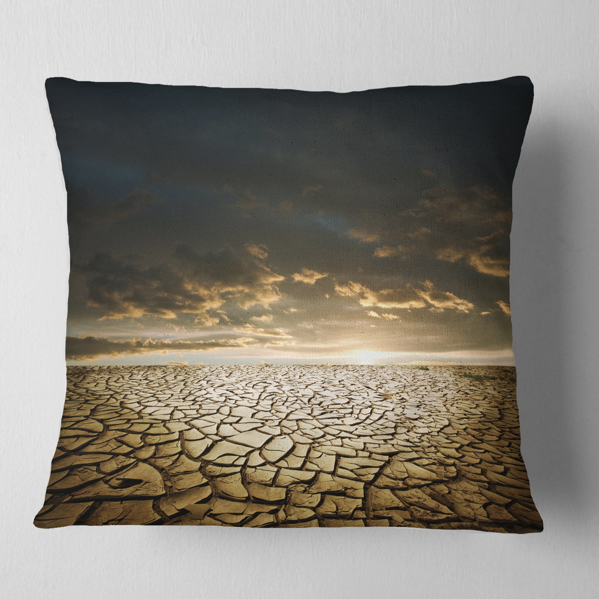 Designart Drought Land under Cloudy Skies - Modern Landscape Printed Throw Pillow - 16x16