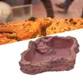 thumbnail image 4 of Lizard Food Water Dish, Imitation Rock Reptile Feeding Plate Hygienic Resin Small  For, 4 of 8